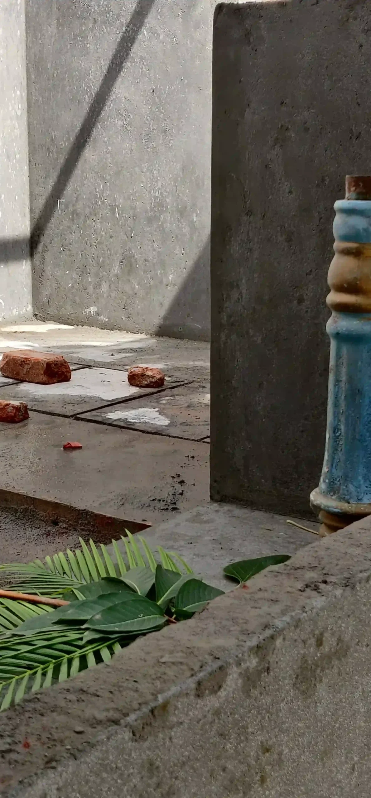 IMG_20210918_100052 IMG_20210918_100052